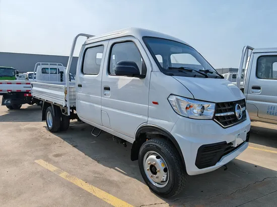 Kama W3s Light Duty Cargo Truck Lj469q