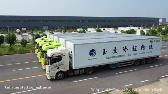 Refrigeration Freezer Refrigerated Cold Storage Chilled Cargo Frozen Goods Transportation Cooling Unit Reefer Truck Vehicle Semi Trailer 